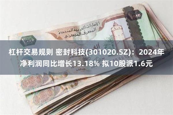 杠杆交易规则 密封科技(301020.SZ)：2024年净利润同比增长13.18% 拟10股派1.6元
