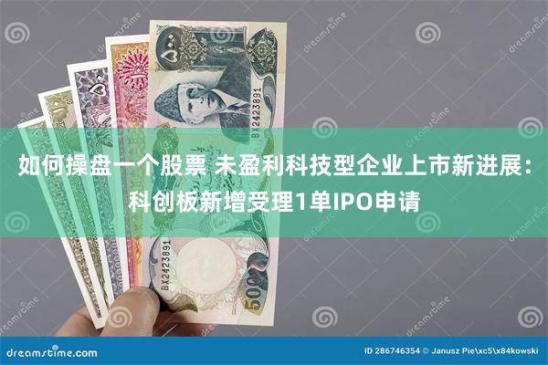 如何操盘一个股票 未盈利科技型企业上市新进展：科创板新增受理1单IPO申请