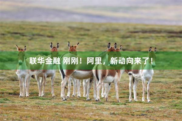 联华金融 刚刚！阿里，新动向来了！