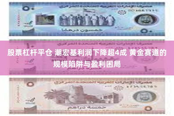 股票杠杆平仓 潮宏基利润下降超4成 黄金赛道的规模陷阱与盈利困局
