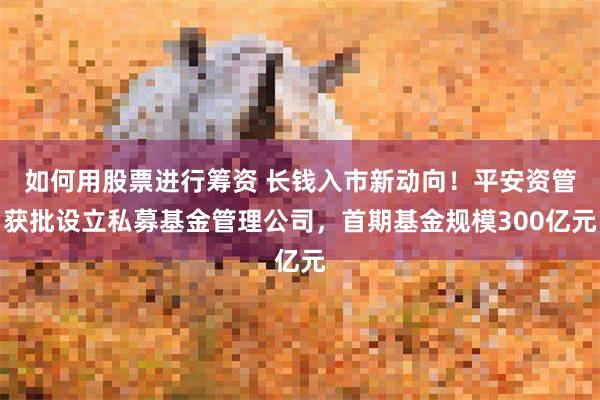 如何用股票进行筹资 长钱入市新动向！平安资管获批设立私募基金管理公司，首期基金规模300亿元