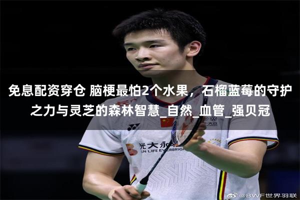 免息配资穿仓 脑梗最怕2个水果，石榴蓝莓的守护之力与灵芝的森林智慧_自然_血管_强贝冠