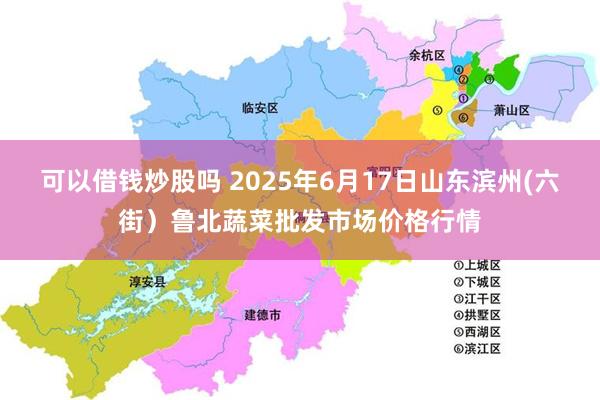 可以借钱炒股吗 2025年6月17日山东滨州(六街)鲁北蔬菜批发市场价格行情