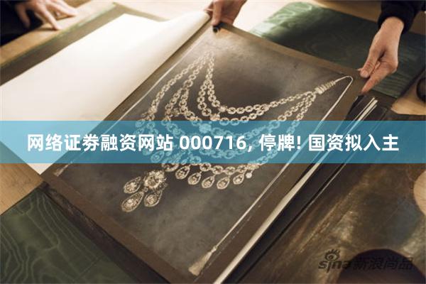网络证劵融资网站 000716, 停牌! 国资拟入主