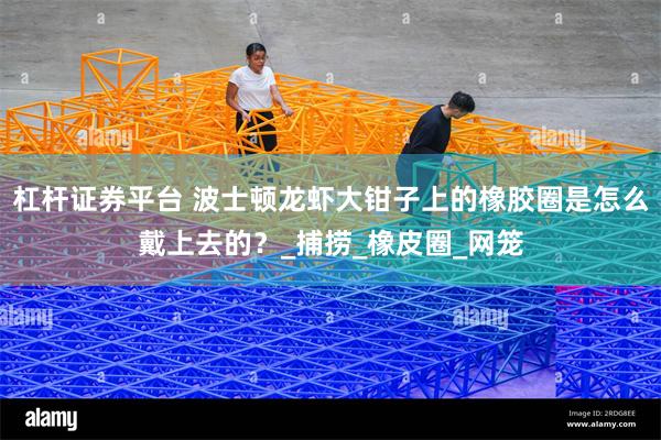 杠杆证券平台 波士顿龙虾大钳子上的橡胶圈是怎么戴上去的？_捕捞_橡皮圈_网笼
