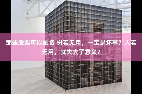 那些股票可以融资 树若无用，一定是坏事？人若无用，就失去了意义？