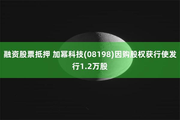融资股票抵押 加幂科技(08198)因购股权获行使发行1.2万股