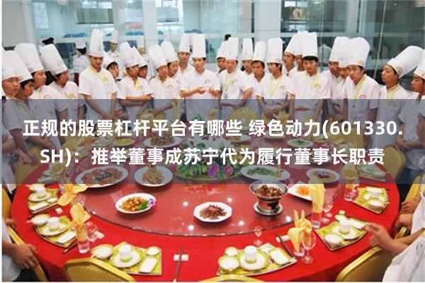 正规的股票杠杆平台有哪些 绿色动力(601330.SH)：推举董事成苏宁代为履行董事长职责