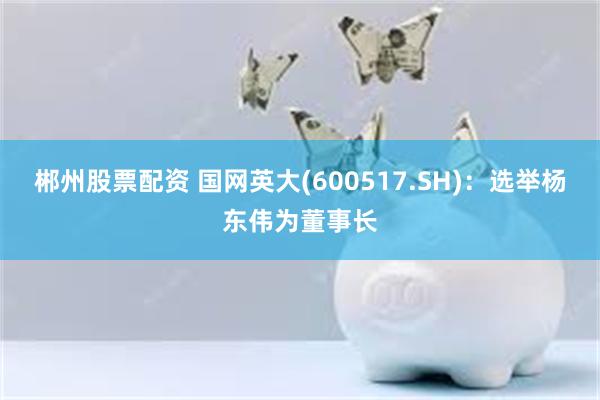 郴州股票配资 国网英大(600517.SH)：选举杨东伟为董事长