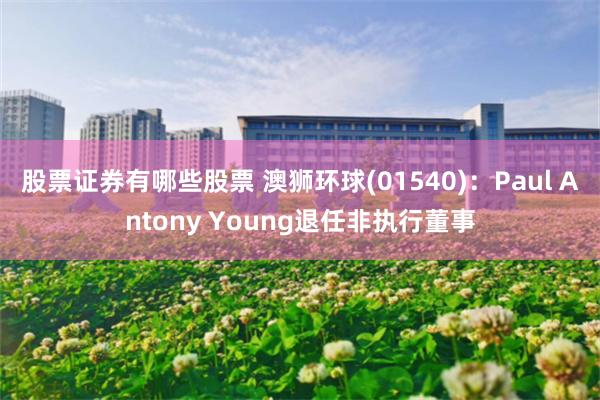 股票证券有哪些股票 澳狮环球(01540)：Paul Antony Young退任非执行董事