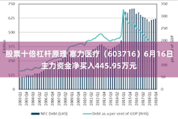 股票十倍杠杆原理 塞力医疗（603716）6月16日主力资金净买入445.95万元