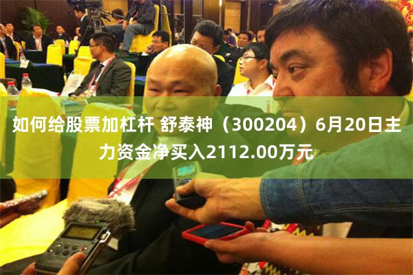 如何给股票加杠杆 舒泰神（300204）6月20日主力资金净买入2112.00万元
