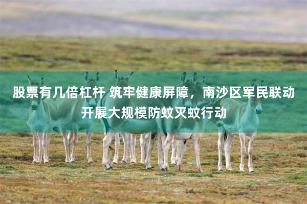 股票有几倍杠杆 筑牢健康屏障，南沙区军民联动开展大规模防蚊灭蚊行动
