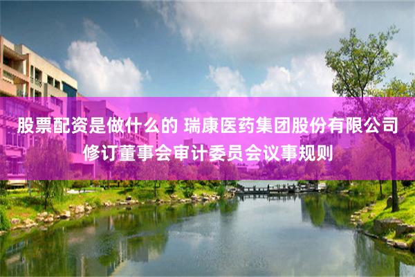 股票配资是做什么的 瑞康医药集团股份有限公司修订董事会审计委员会议事规则