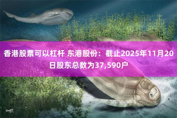 香港股票可以杠杆 东港股份：截止2025年11月20日股东总数为37,590户