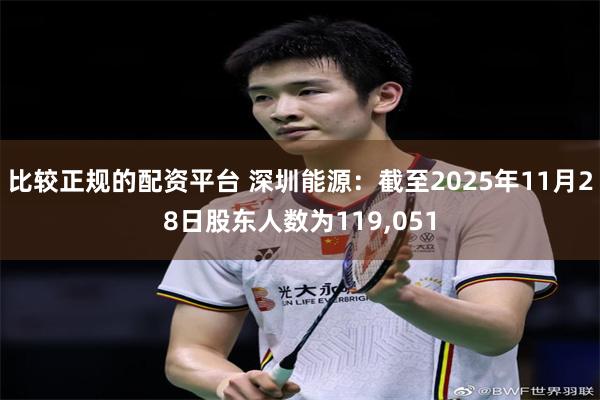 比较正规的配资平台 深圳能源：截至2025年11月28日股东人数为119,051