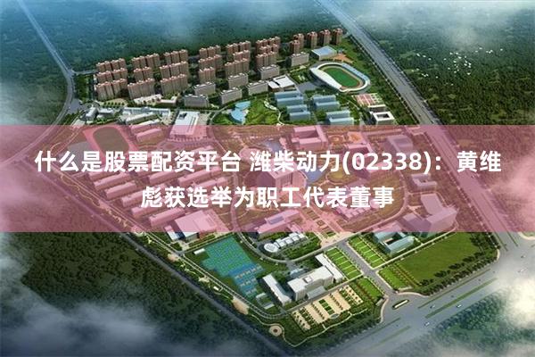 什么是股票配资平台 潍柴动力(02338)：黄维彪获选举为职工代表董事