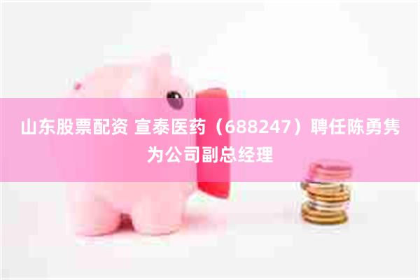 山东股票配资 宣泰医药（688247）聘任陈勇隽为公司副总经理