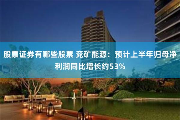 股票证券有哪些股票 兖矿能源：预计上半年归母净利润同比增长约53%