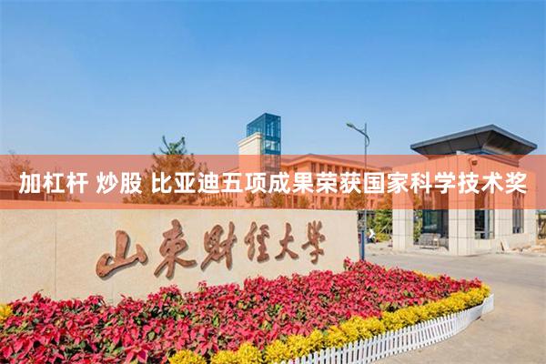 加杠杆 炒股 比亚迪五项成果荣获国家科学技术奖