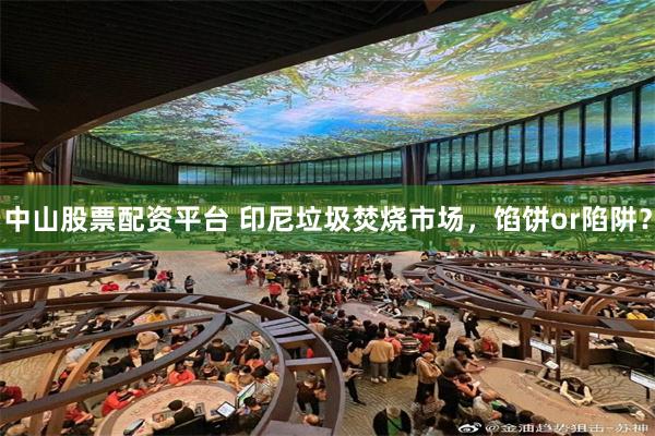 中山股票配资平台 印尼垃圾焚烧市场，馅饼or陷阱？