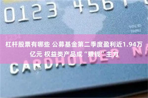 杠杆股票有哪些 公募基金第二季度盈利近1.94万亿元 权益类产品成“赚钱”主力