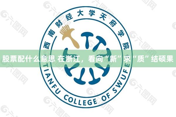 股票配什么意思 在浙江，看向“新”求“质”结硕果