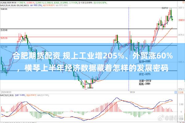 合肥期货配资 规上工业增205%、外贸涨60%，横琴上半年经济数据藏着怎样的发展密码