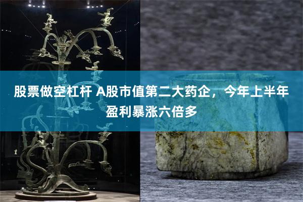股票做空杠杆 A股市值第二大药企，今年上半年盈利暴涨六倍多