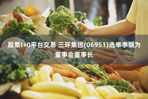 股票t+0平台交易 三环集团(06951)选举李钢为董事会董事长
