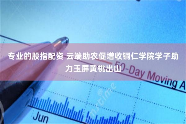 专业的股指配资 云端助农促增收铜仁学院学子助力玉屏黄桃出山