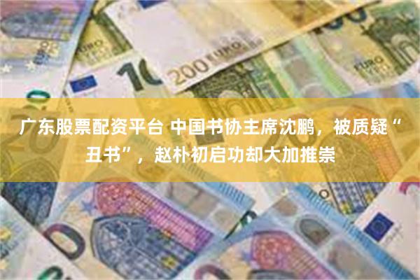 广东股票配资平台 中国书协主席沈鹏，被质疑“丑书”，赵朴初启功却大加推崇