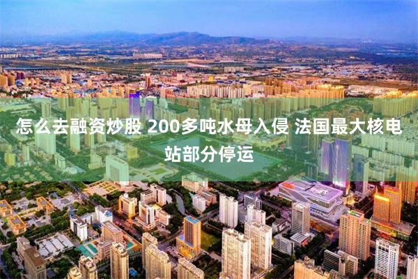 怎么去融资炒股 200多吨水母入侵 法国最大核电站部分停运