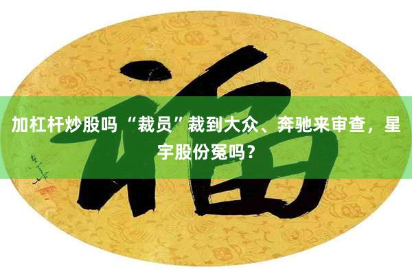 加杠杆炒股吗 “裁员”裁到大众、奔驰来审查，星宇股份冤吗？