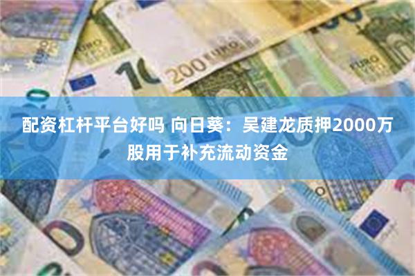 配资杠杆平台好吗 向日葵：吴建龙质押2000万股用于补充流动资金