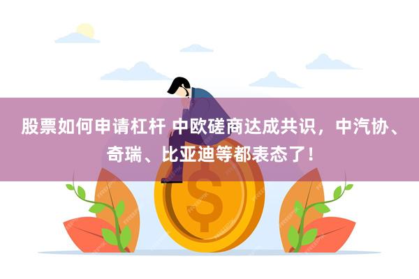 股票如何申请杠杆 中欧磋商达成共识，中汽协、奇瑞、比亚迪等都表态了！